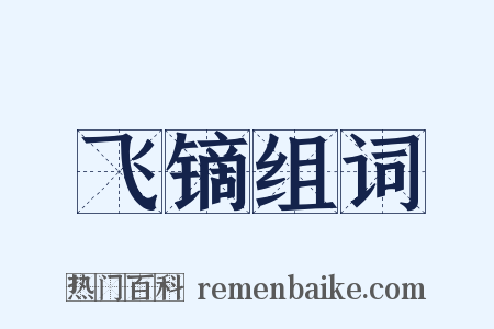 飞镝组词是什么意思的图片